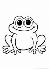 Frog Kurbağa Ausmalbild Boyama Colorear Frosch Proyecto Resmi Sayfası Zum Colouring Kalıbı sketch template