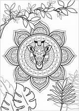 Mandala Coloring Giraffe Tropical Color Leaves Embedded Pages Nature Justcolor Branches Head Pretty Giraffes Animals Adult sketch template