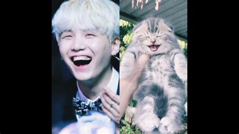 Suga Is Not A Human But A Cat Yoongi Is A Cat Youtube