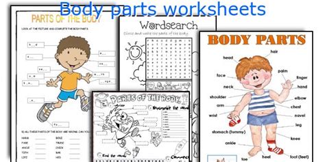 body parts worksheet preschool  esl printable body parts