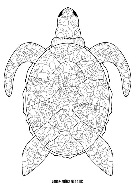 ocean   sea colouring pages turtle coloring pages horse
