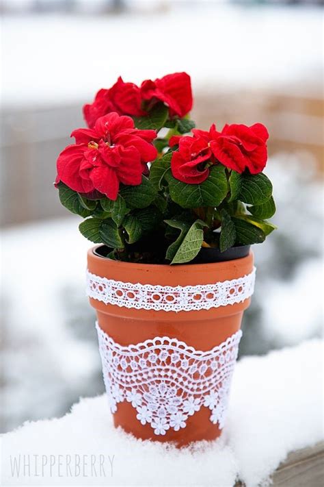 flower pots decoration  container gardening ideas   cozy home