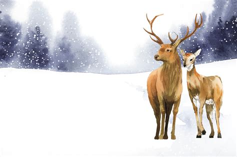 hand drawn pair  deer   winter landscape watercolor style vector   vectors
