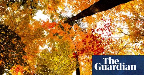 Fall Colors Autumn Foliage Across North America In