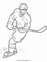 Hockey Blackhawks Sportarten Eishockey Ausmalen Verschiedene Malvorlagen Getdrawings sketch template
