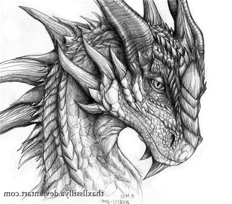 pencil drawing   dragon  paintingvalleycom explore collection