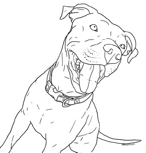 pitbull coloring pages   educative printable dog