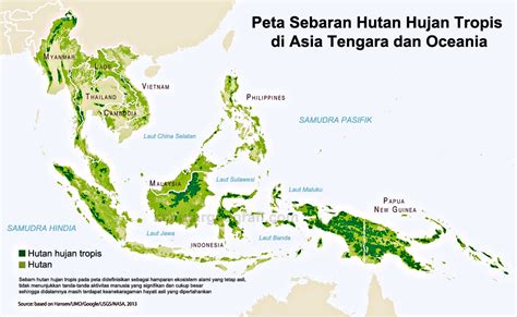peta hutan indonesia images   finder