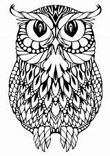 Owl Coloring Pages Printable Adults Detailed sketch template