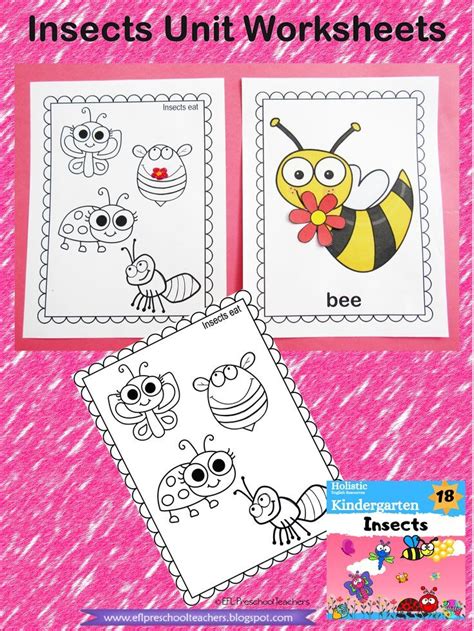 insects worksheets  teaching kindergarten esl   teaching kindergarten insect unit