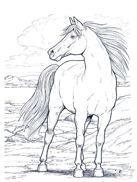 printable horse coloring pages  adults coloring home