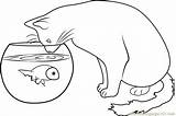 Fish Cat Coloring Watching Pages Coloringpages101 Color Online Printable Kids Cats sketch template