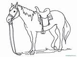 Horse Coloring Pages Spirit Getdrawings sketch template