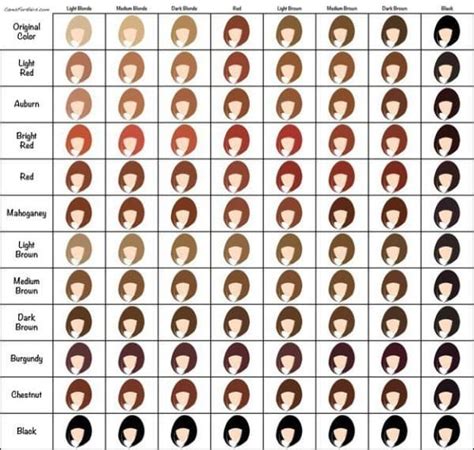 ingeniously  charts        hair   life