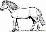 Horse Coloring Pages Template Horses Printable Color Kids Appaloosa Print Online Sheets Colouring Book Templates Supercoloring Super Draft Real Sketch sketch template