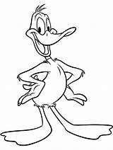 Duck Coloring Daffy Pages Looney Cartoon Choose Board Toones Printable sketch template