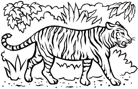 printable tiger coloring pages  kids tigers kids coloring pages