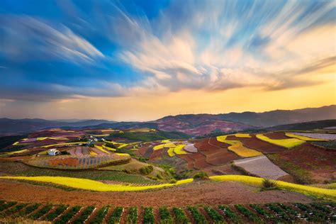 day china photography  yunnan rice terrace  red land