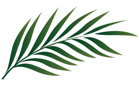 palm leaf outline clipart