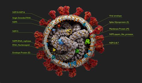 sars   drug discovery targeting viral ion channels metrion