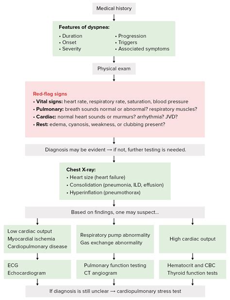 dyspnea concise medical knowledge