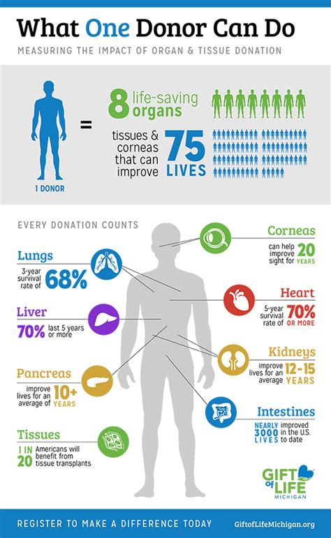 become a donor t of life michigan