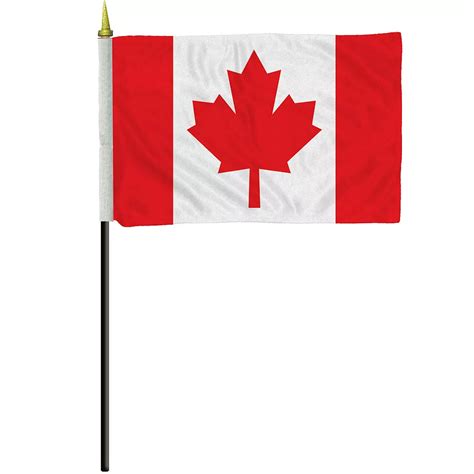 small canadian flag  party city