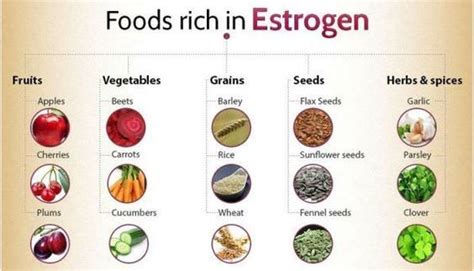 foods high in estrogen for balanced hormones lower estrogen levels low estrogen hormone