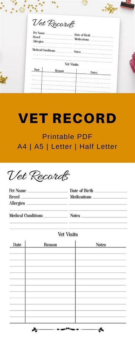 pet health record template   pet care printables pet health