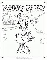 Coloring Mickey Mouse Clubhouse Pages Daisy Print Library Clipart Duck Disney sketch template