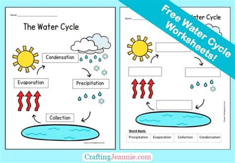 water cycle worksheet   printables  ki vrogueco