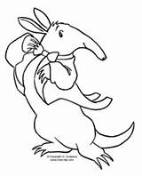 Aardvark Coloring Designlooter Prom Popped Funnier Imagine Recently Anything Guy Season Head Into Little sketch template