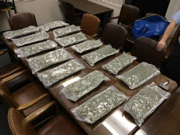 mobile police  significant narcotics arrest