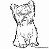 Yorkie Coloring Pages Line Printable Dog Poo Kids Adults Drawing Template sketch template