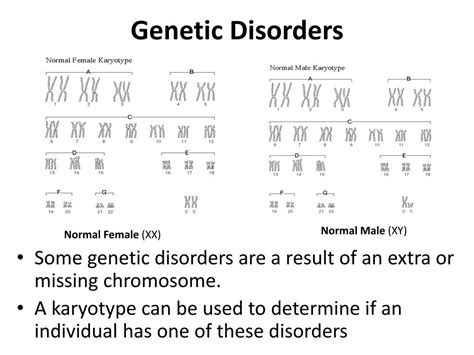 Ppt Genetic Disorders Karyotypes And Pedigrees Powerpoint