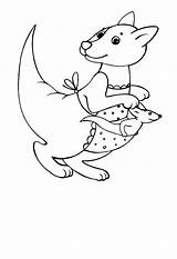 Baby Kangaroo Coloring Mother Online Pages sketch template
