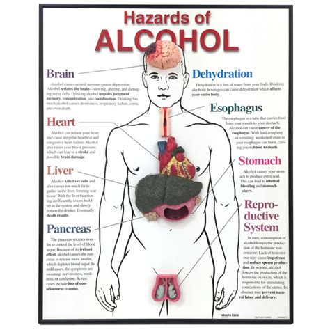 Alcohol Hazards Educational 3 D Framed Chart Health Edco