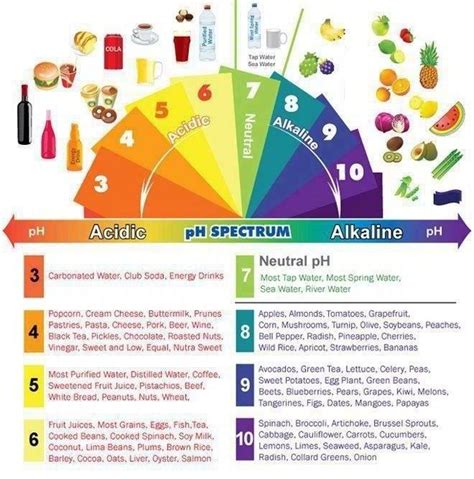 images  ph level  pinterest alkaline foods vegetables