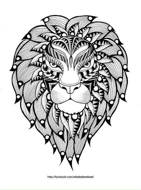 lion coloring pages  adults colored lioness familycornercom
