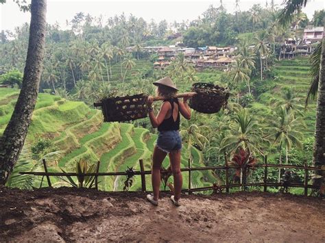 Rice Fields Ubud Bali