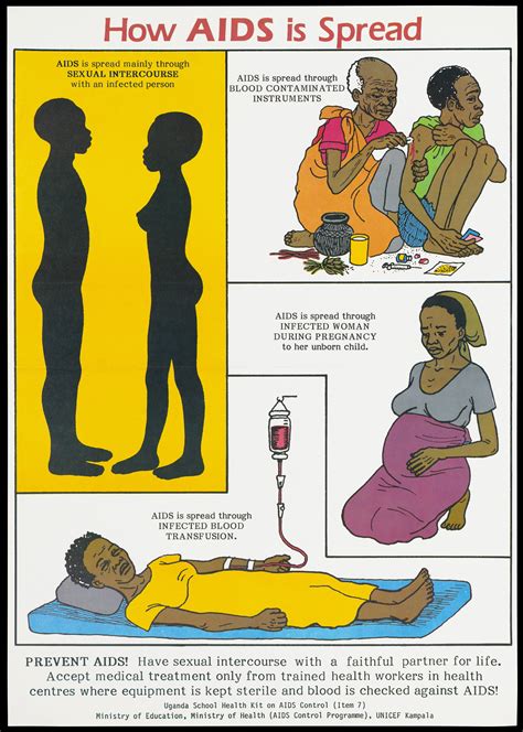 illustrations showing how aids is spread including two naked figures