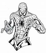 Coloring Pages Spider Man Kids Marvel Spectacular Color Way Fun Spiderman Printable Print Creativity Ages Recognition Develop Skills Focus Motor sketch template