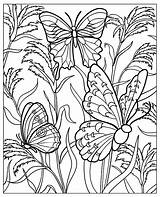 Papillons Coloriage Fleurs Détails Plusieurs Pleine Insectes Justcolor Ailes Plantes Jolis Aux sketch template