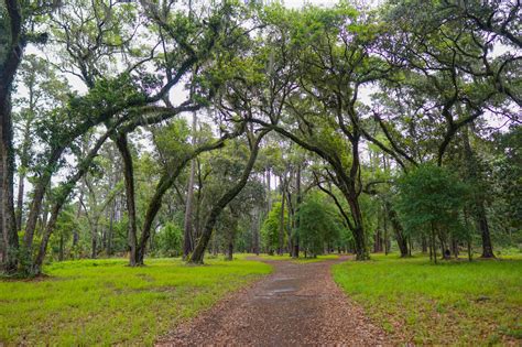sea pines forest preserve  worth  admission fee