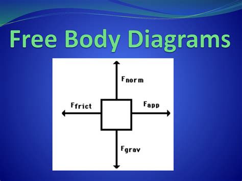 body diagrams
