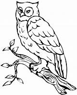 Owl Coloring Pages Snowy Flying Barn Owls Girls Printable Drawing Realistic Print Colouring Sheets Getdrawings Getcolorings Clipartmag Color Visit Colorings sketch template