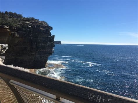 federation cliff walk watsons bay updated 2021 all you