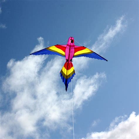 bird kite leading edge kites bird shaped single string kids kite
