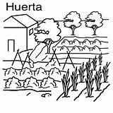 Dibujos Huertos Huerto Huerta Huertas Escolar Cultivo Colorea Idibujosparacolorear Agricultura Serpentina Colegio Resultado Preescolar Isidro Verduras sketch template