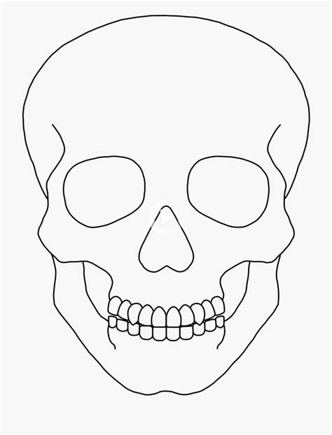 redirecting   human skull drawing outline drawings skull drawing